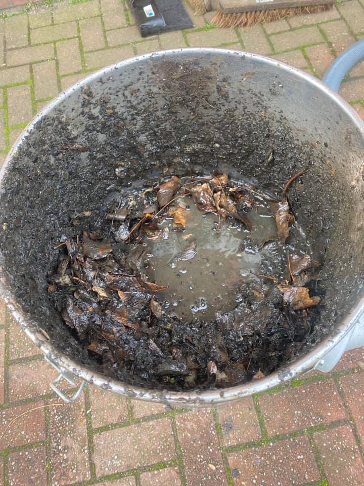 124897008 175342790896485 7245477376028021808 n