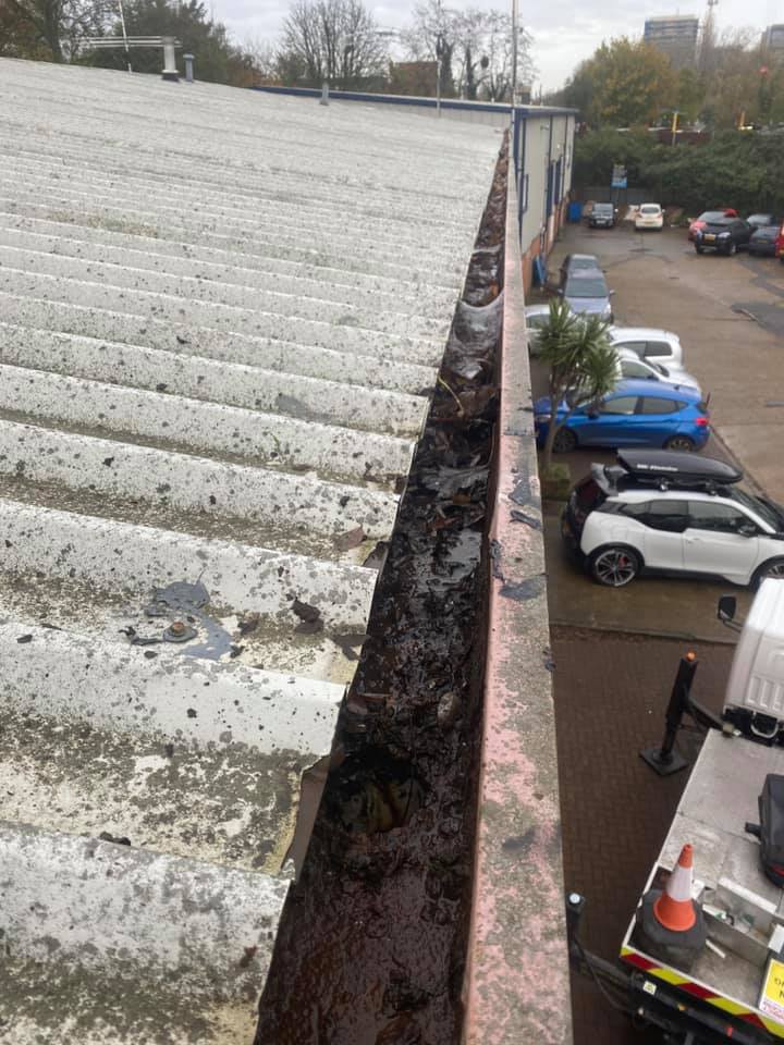 124957514 175342777563153 6179780720825265677 n (1)