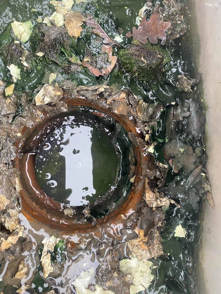 128680484 187320493032048 2211149237828324409 n