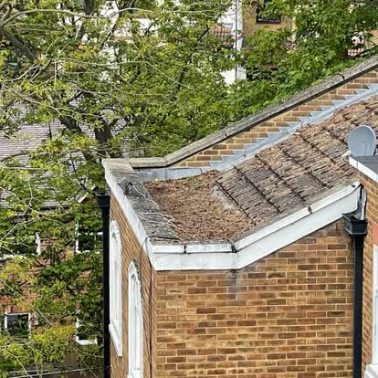 185280038 298106531953443 6243351218037966188 n