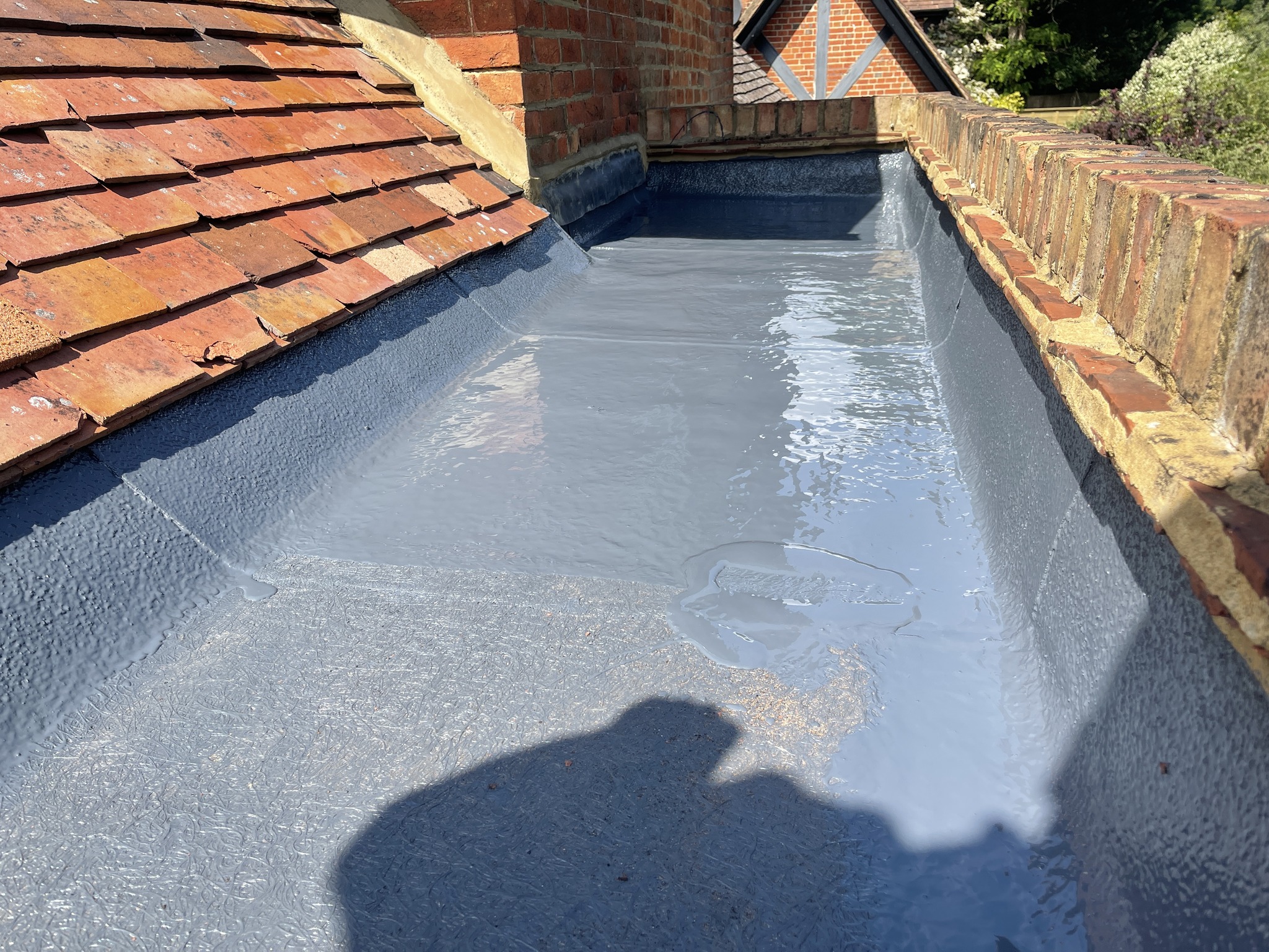 482356719 1189530116144409 7113730351457859489 n